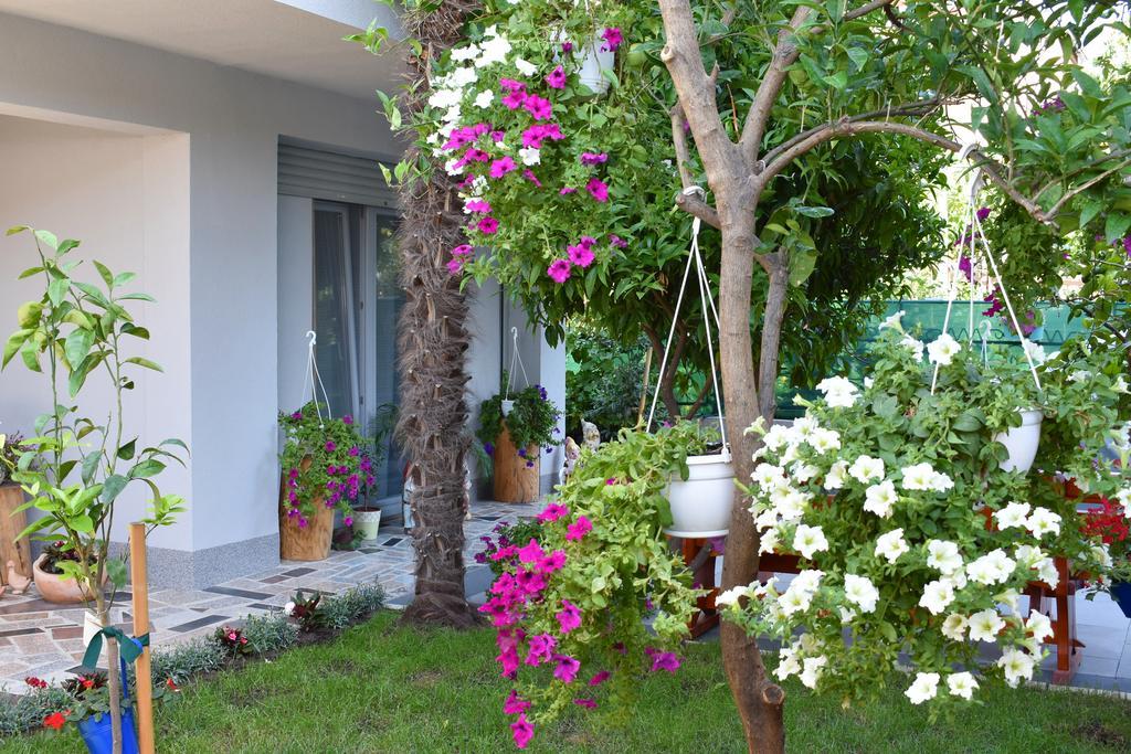 Apartments & Rooms Marinka Zadar Bagian luar foto